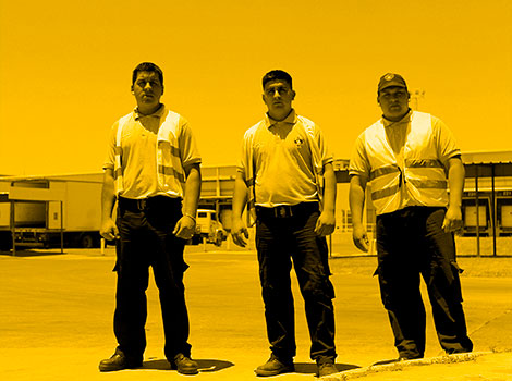 galeria proteccion y servicio f