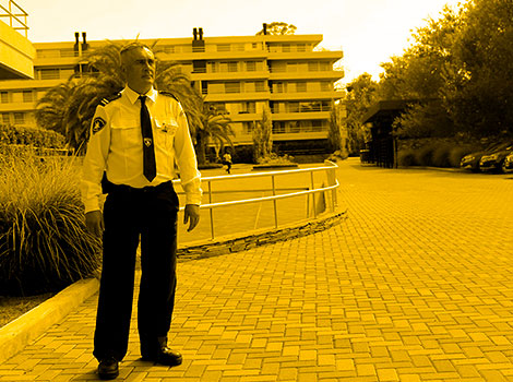 galeria proteccion y servicio g