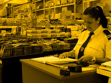 galeria proteccion y servicio h