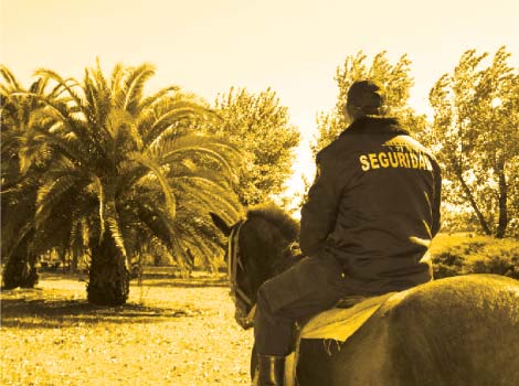 galeria proteccion y servicio s