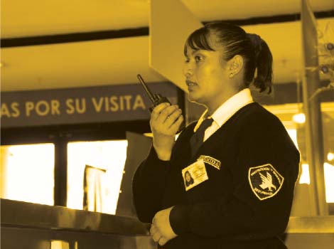 galeria proteccion y servicio t