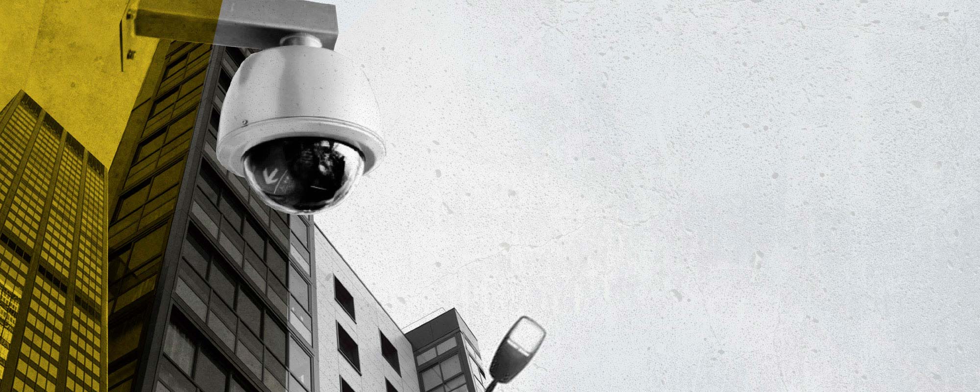 proteccion y servicio seguridad b