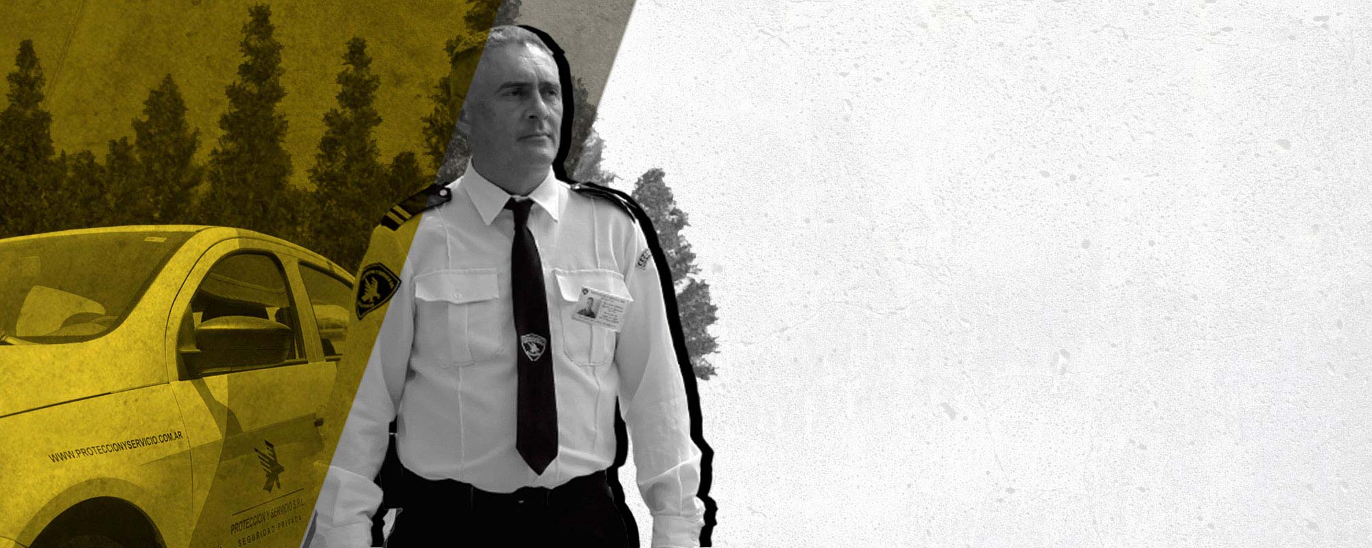 proteccion y servicio seguridad c