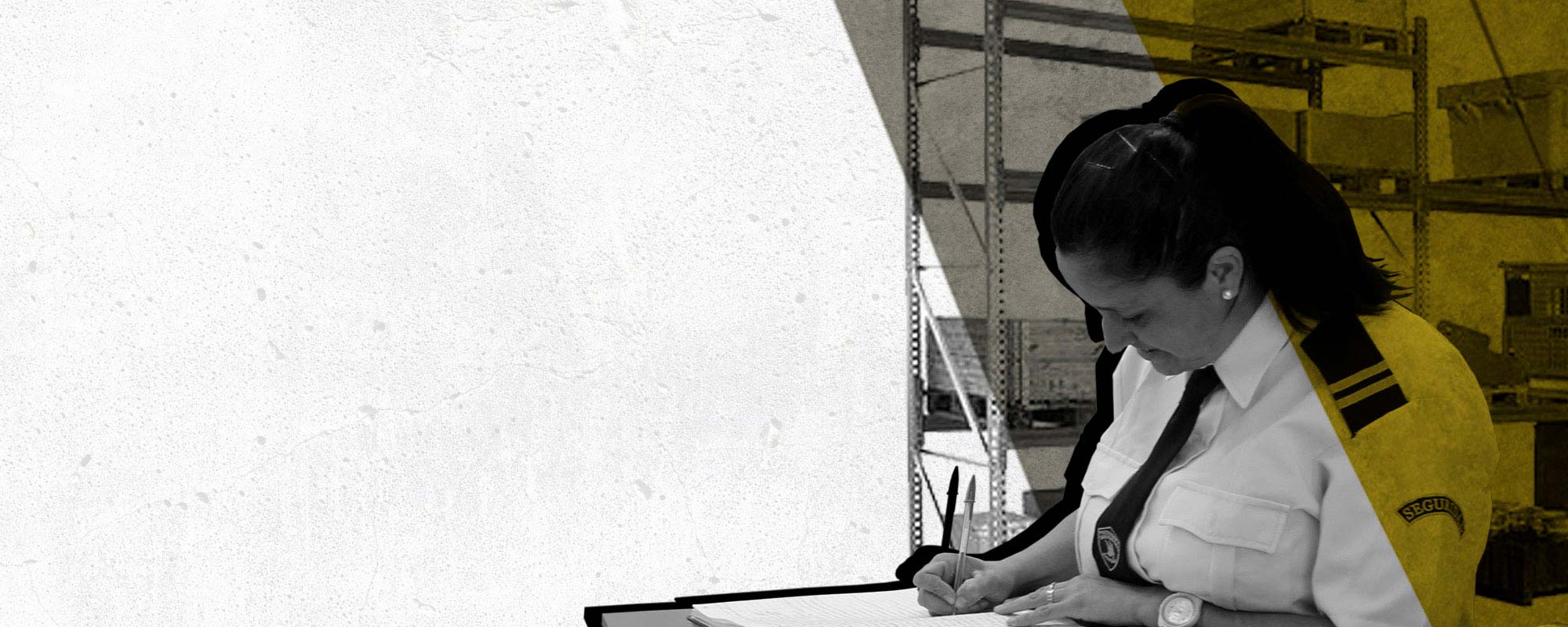 proteccion y servicio seguridad d