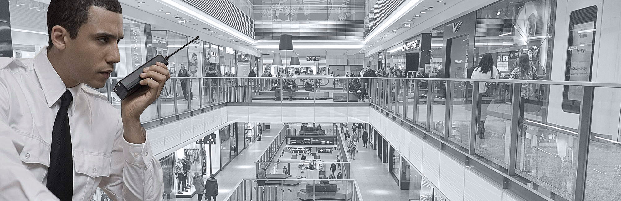 seguridad fisica.jpg